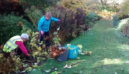 Friends of Walkden Gardens volunteers working on autumn long border